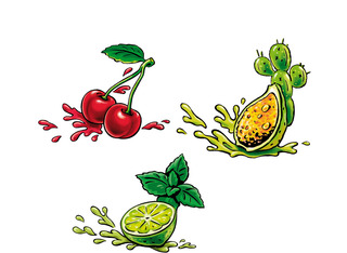 Früchte _ Kirsche
_ Kaktus _ Limone _ für Gerolsteiner